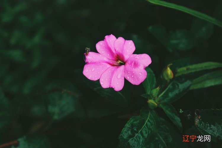 十二星座彰显智慧的方式和渠道都不同的高智商