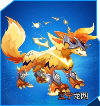 传统外用膏剂的分类_中国传统文化分类_传统导引养生功法分类