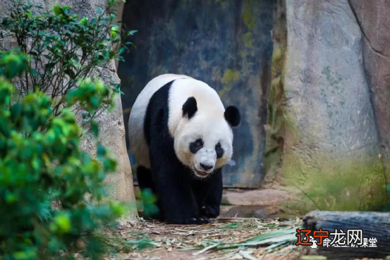 风水堂：什么时候有桃花？(下)