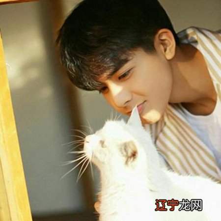 【李向东】哪些男人的面相具有富贵的特征？有你吗？