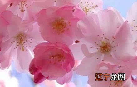 寅卯空 风水堂:婚姻宫落忌神