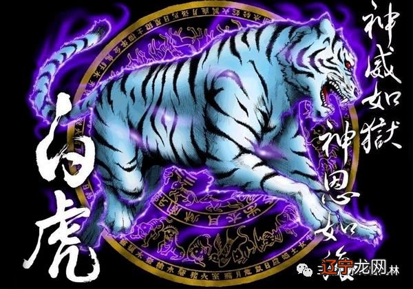 兴国三僚:平房也有绝佳风水之地,重要的关键在于“四神”