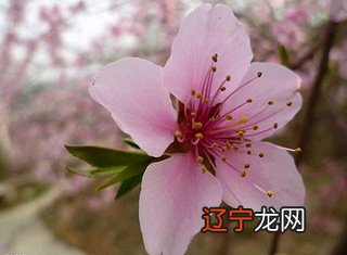 不妨风水堂:六大凶痣影响你的运势