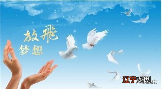 什么样的八字的人最有福气，一生财运富足！