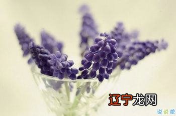 【每日一题】形容历史厚重的句子,敦煌她怎么似曾相识?