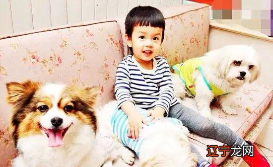 小猴子，中国字这么多该如何是好？怎么为宝宝取名字