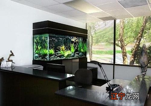 免费生辰八字算命易奇八字_生辰八字算养鱼_八字生辰起名