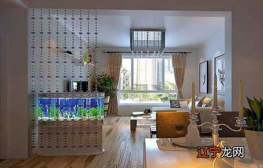 没有什么人不适合养鱼,只是养鱼需要注意一些问题