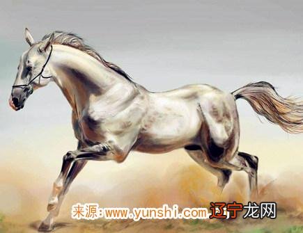 图 2015年属马的人2014年马年运程