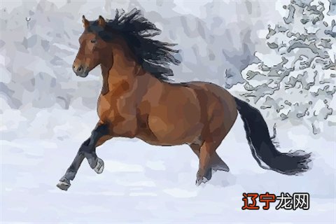 1990年属马什么颜色旺，属马的人不幸数字