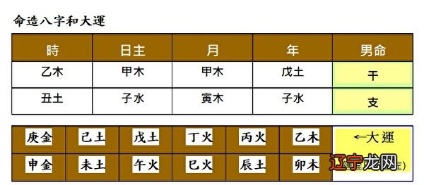 高考志愿填报:都说“术”泛指我们谋生的职业