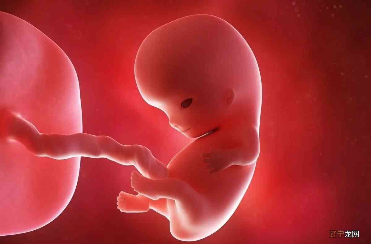 不建议喝孕妇奶粉原因妊娠女性可根据自身需要进行合理选择