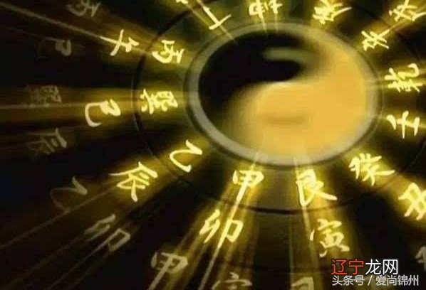 【李向东】出生时间以外,隐藏着环境风水的秘密