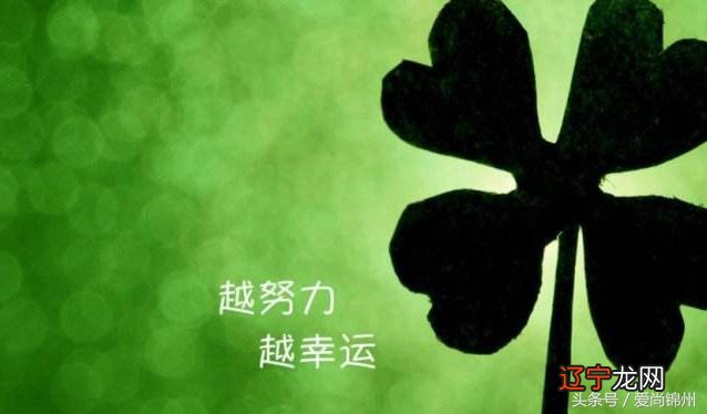 【李向东】出生时间以外,隐藏着环境风水的秘密