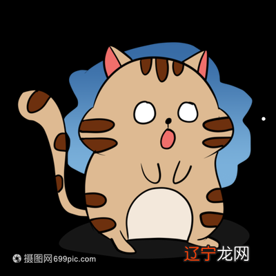 说完风水堂:说完猫狗旺宅的好处