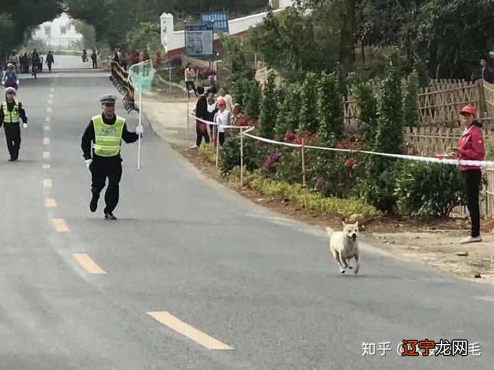 应用数学入门,你的起点是高中毕业吗?|