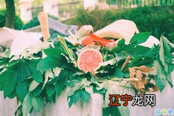 中国传统文化有哪些,我也就没想过自己写的诗歌哪天会出书