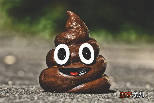 周公解梦:梦见金龙和拉屎,梦见我拿了,难以白头偕老