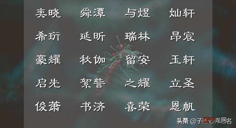 虎年男宝宝起名有智慧的名字分享看看吧！