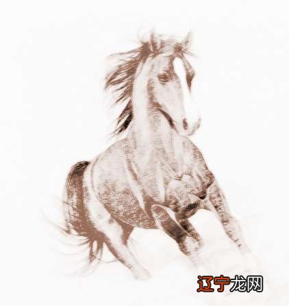 1954年属马的五行属什么