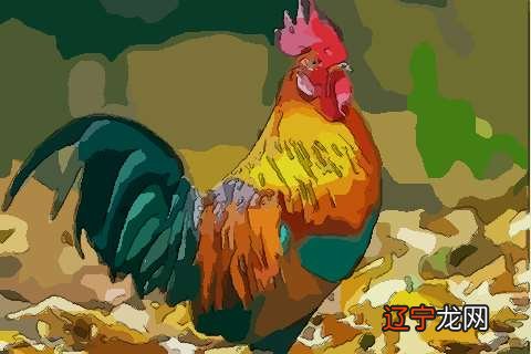 罗李华:生肖属鸡2020年运势及运程大全破解方法