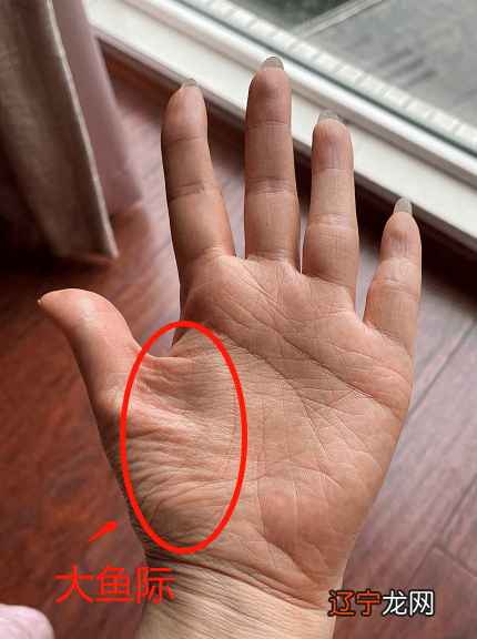 如何判断,的“第一招精髓与方法”大家了