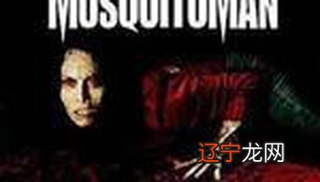 2015年春节的习俗:春节的风俗和习俗