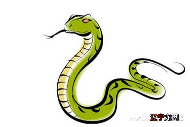 蛇生肖配对最佳配对表,你和什么属相是最佳?