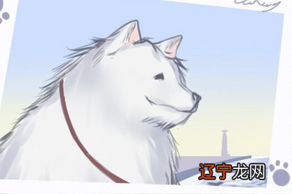 风水堂:八字入门中认为甲木命人比乙木命人命