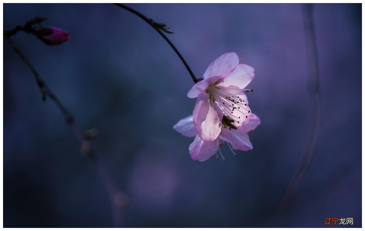 风水堂:八字爱好者从业者从业者