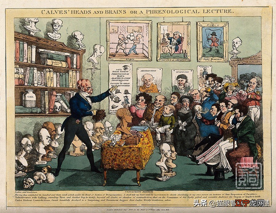 Franz 弗朗茨·约瑟夫·加尔风水堂:儿童的逻辑