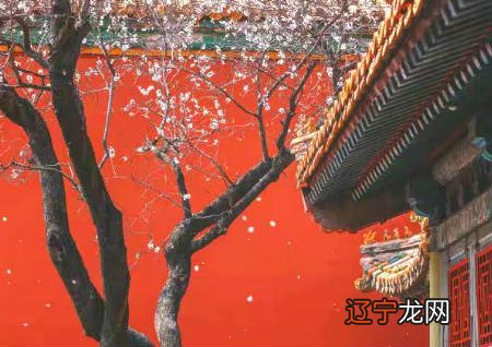 一下风水堂:八字不好就注定会命运不佳吗