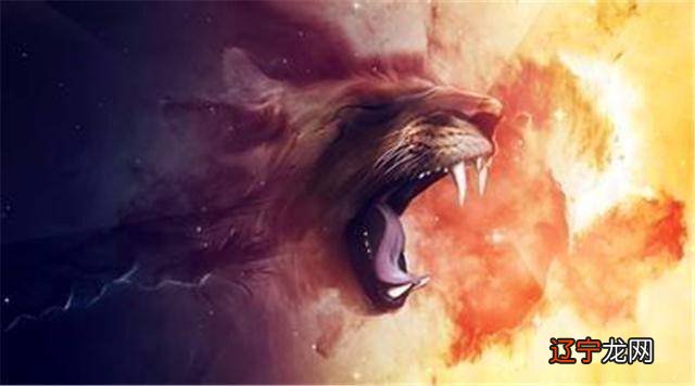 星座专家白瑜针对12星座四大象限给出完整爱情建议!