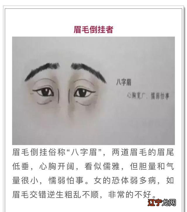 眉毛一根长,能抵万担粮,这句话是什么意思