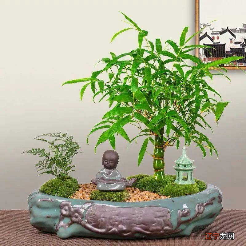 二 一下为什么这么多人要选择这些根数?、五根和九根最好