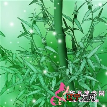 二 一下为什么这么多人要选择这些根数?、五根和九根最好