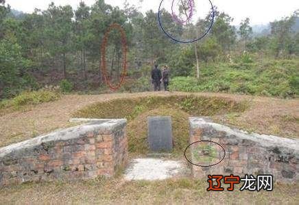 【李向东】中华文化的“一阴”和“一门”