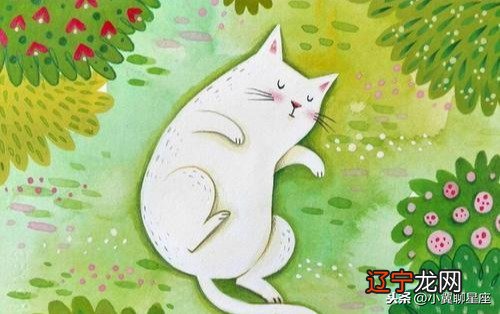 先来说吃醋,爱吃醋的星座女生,你还不了解