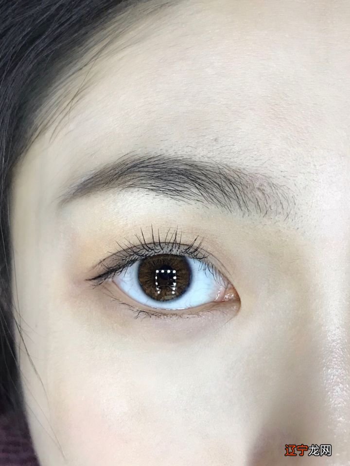 多滞面相学是什么意思