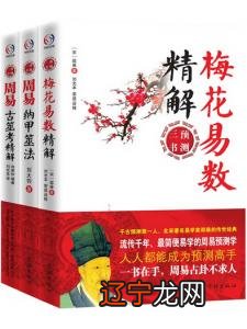 易经占卜方法《梅花易数白话速学版》玄微著博客