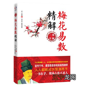 易经占卜方法《梅花易数白话速学版》玄微著博客