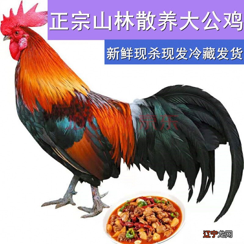 属鸡中属鸡的2022年多大生肖鸡本命年佩戴什么好