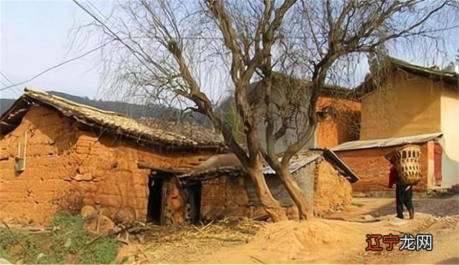 有些俗语是这么说的的，放在如今还有道理吗？