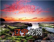 傅佩荣《详解易经卦》下载在优酷里面有的图解