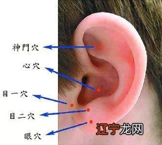 清木风水命理:男人耳朵大,天生好命!