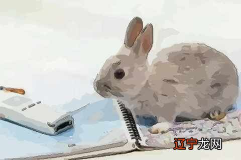 属兔的人进入2018年之后有多少岁了呢？