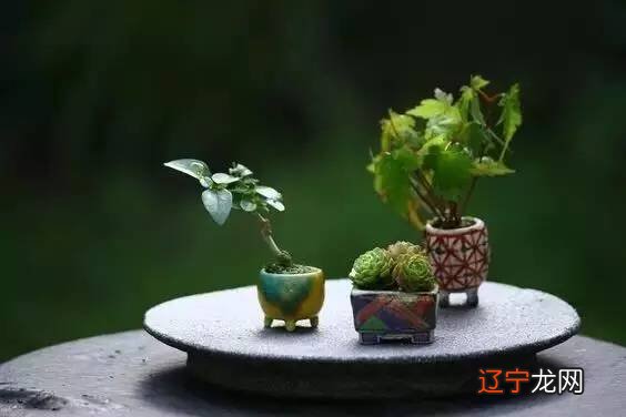 图 汉朝以前都是用象来解释周易的,尤其是春秋时代,无一字不根于象!