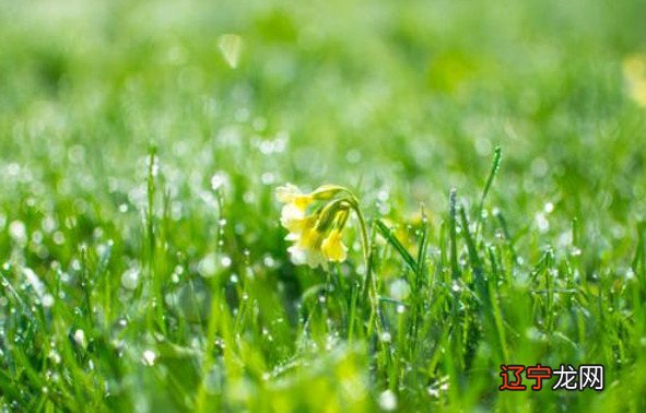 清明节有哪些传统风俗?有什么风俗呢??