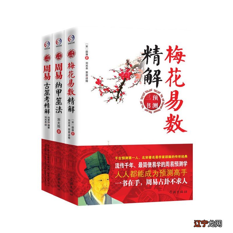 梅花易数起卦法地支数:梅花易数的用途及用途