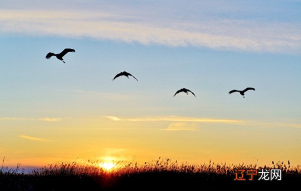 风水堂:八字命理预测学的哲学